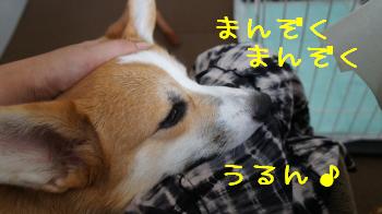 お疲れ様、まま