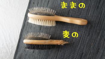 各々のぶらし