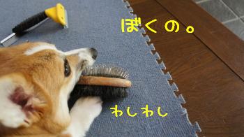 認識あるのか