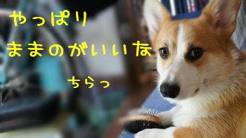 やっぱあっちがいいな