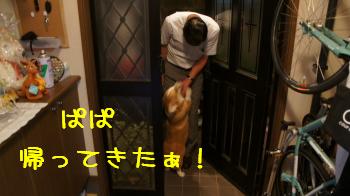 玄関下りちゃいけません!