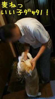 どうしていいか分からない