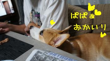 熱視線