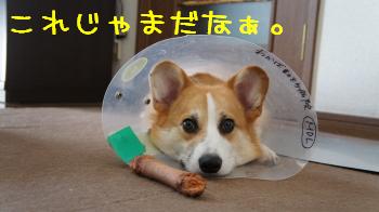 じゃまだなこれ
