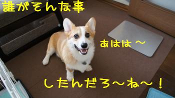 穴開けた張本人