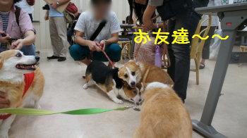 お友達になれました