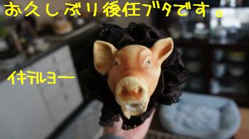 健在です。