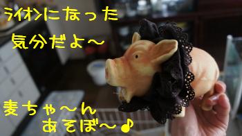 ライオンブタさん