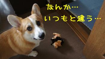何これ。