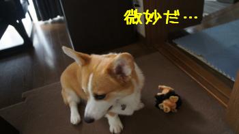 すてき?じゃない?