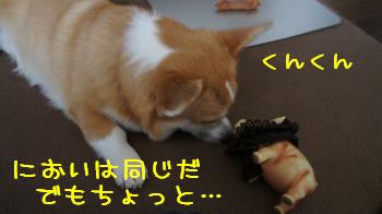 いつもと違う