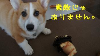 あまり素敵じゃない