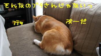 いりません。