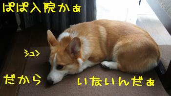 入院してるんだよ