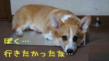 行きたかったよねー