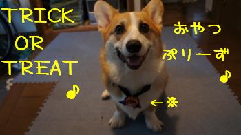 はろうぃんてなに?