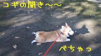 こぎのひらき