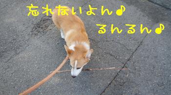 るんるん