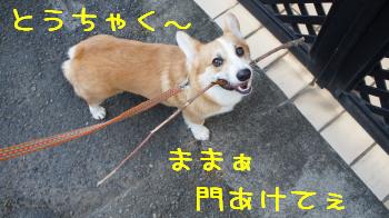 家ついちゃった