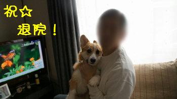 ご帰還記念
