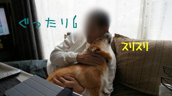 バテるぱぱ