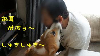 好き好きぱぱ
