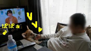 見つめあう二人