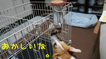 おかしい