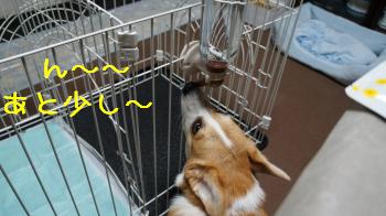 あと少し