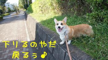 勘弁してください