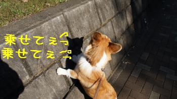 乗りたいの