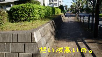 だいぶ高いの。