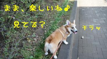 見てますよ~