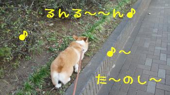 たのし~♪