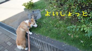よいしょっと