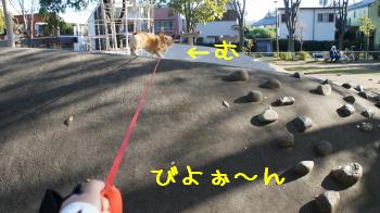 びよ~ん
