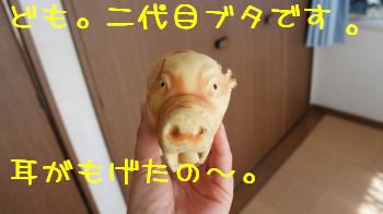 二代目ブタさん