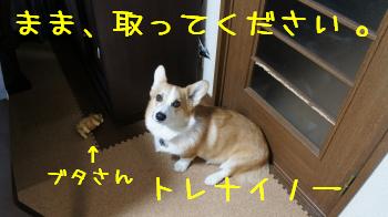 勘弁してください。