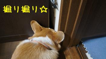 楽しいですか?