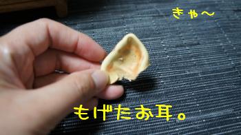 お耳