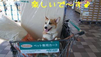 ウキウキ