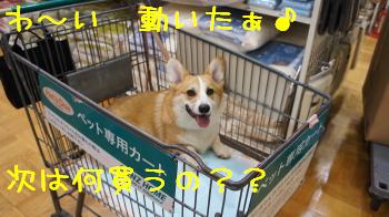 広い♪
