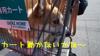 待機
