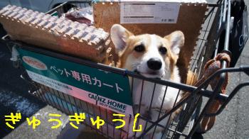 せまい~