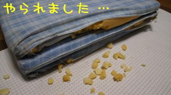ボロボロマット