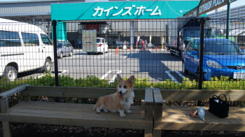 また来たい?