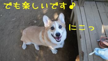 よかったです。