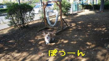 ままの出番か。