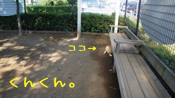 こんなところもちぇっく