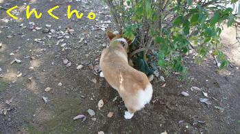 さらにちぇっく
